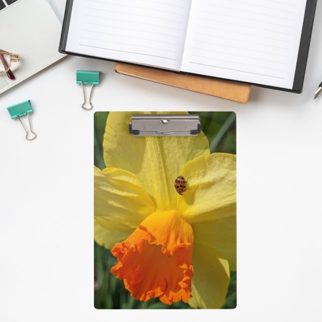 Pranchetas Ladybug no Yellow Daffodil Floral (In Situ)