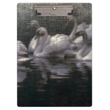 Lago de Cisnes ao Luar