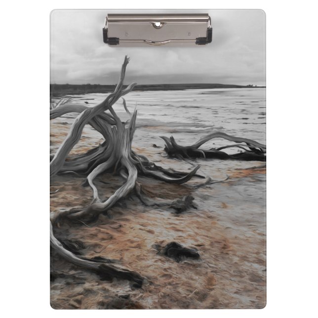 Pranchetas Lago Tyrrell Natural Forces (Frente)