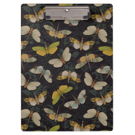 Pranchetas Lanternófilos - Píropos Candelaria e Outros Planth