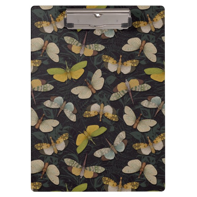 Pranchetas Lanternófilos - Píropos Candelaria e Outros Planth (Frente)