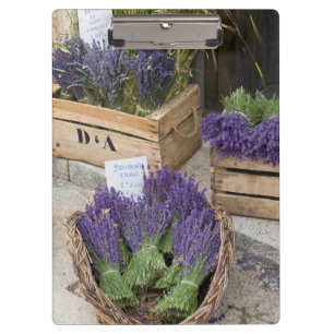 Pranchetas Lavanda à venda, Provença, França