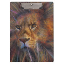 Leão na Área de Transferência da Galeria