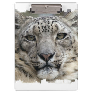 Pranchetas Leopardo de neve