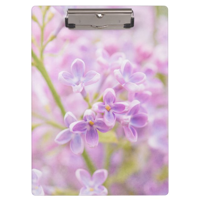Pranchetas Lilac Flowers Mist (Frente)
