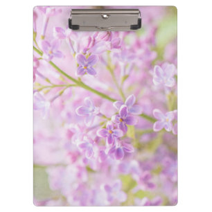 Pranchetas Lilac Flowers Mist