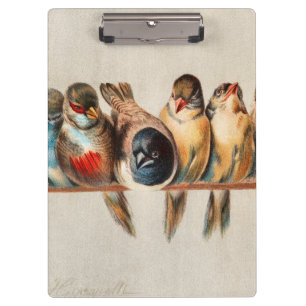Pranchetas Linha de aves e pomba