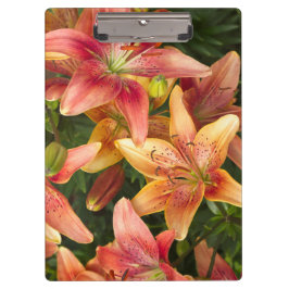 Pranchetas Lírios de jardim