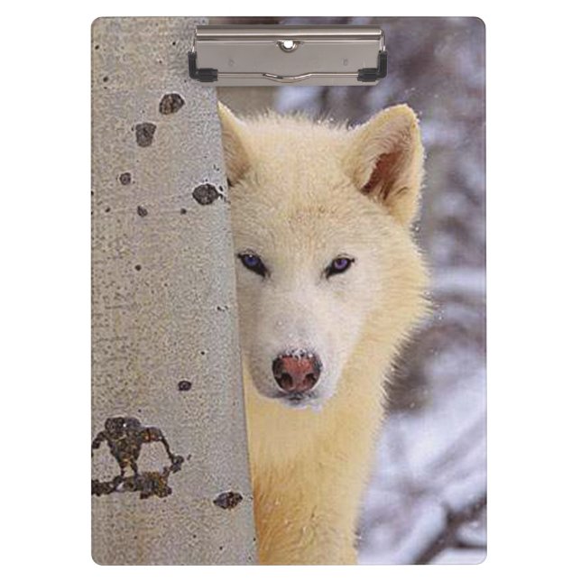 Pranchetas Lobo Branco (Frente)