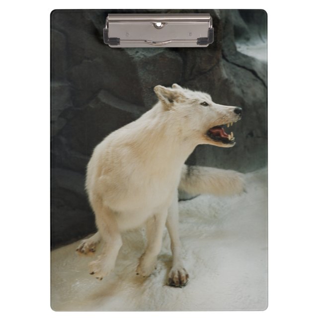 Pranchetas Lobo branco (Frente)