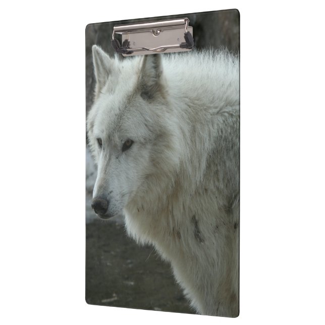 Pranchetas Lobo branco (Esquerda)