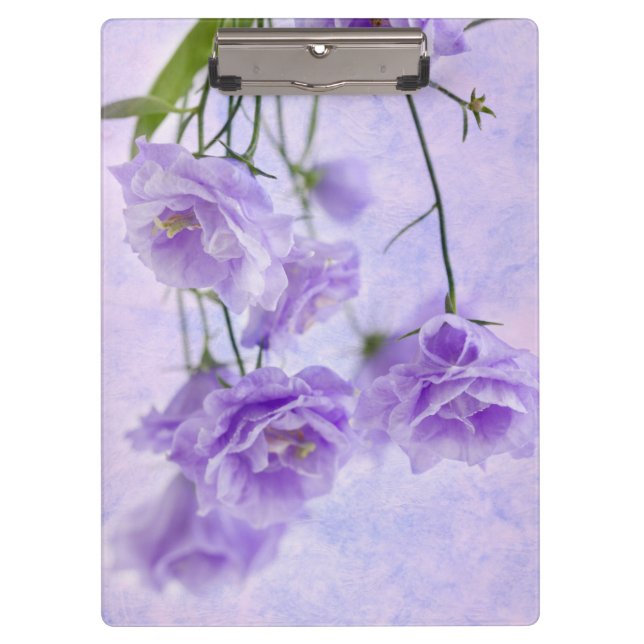 Pranchetas Macro Flores de Campanela Roxas (Frente)
