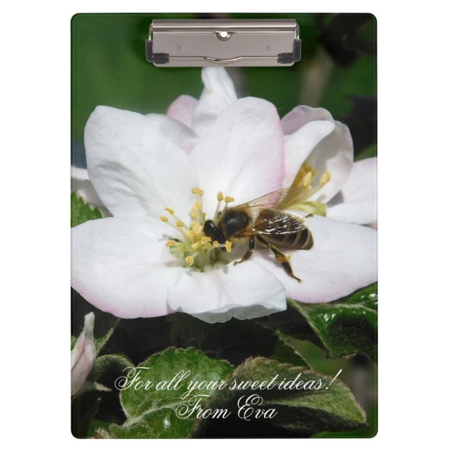 Pranchetas Macro Foto de Flor de Maçã e Abelha | Área de Tran (Frente)