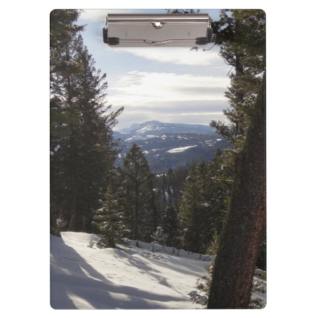 Pranchetas Madison Mountain em inverno em Montana (Frente)