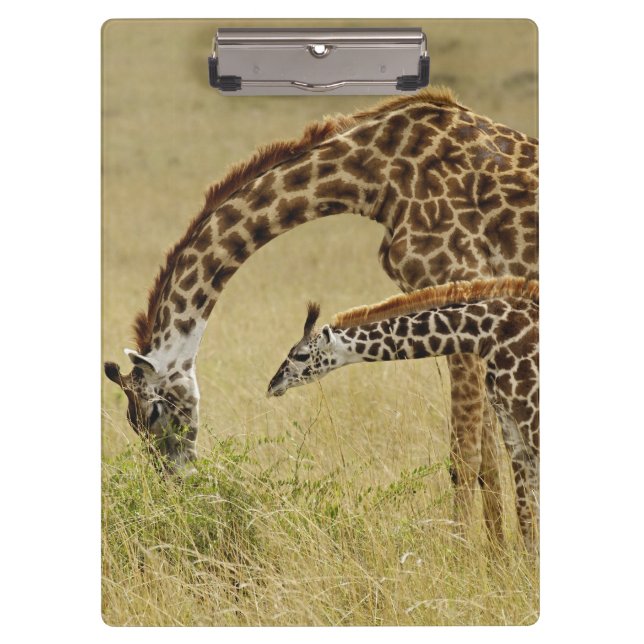 Pranchetas Mãe e bebê Girafa Masai, Giraffa (Frente)