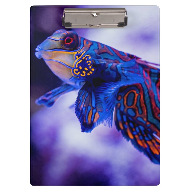 Pranchetas Mandarin Goby Fish (Frente)