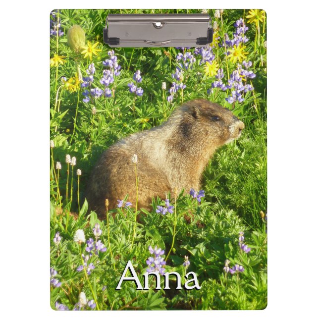 Pranchetas Marmota nas Flores Silvestres do Monte Rainier (Frente)