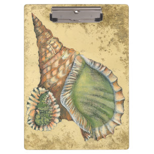 Pranchetas Marrom e Seashell Verde