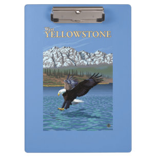 Pranchetas Mergulho da águia americana - Yellowstone