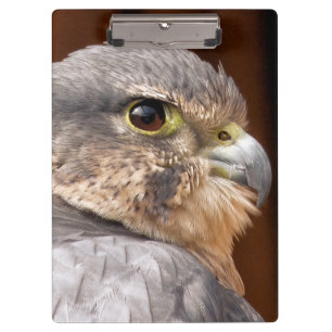 PRANCHETAS MERLIN FALCON BIRD OF PREY