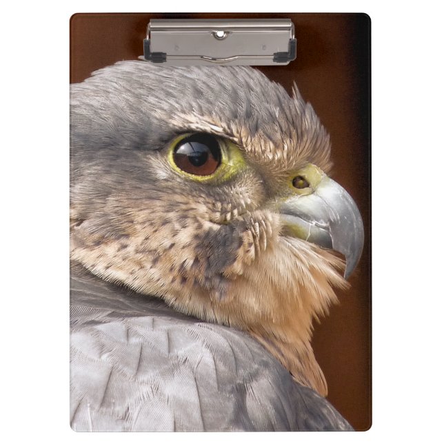 PRANCHETAS MERLIN FALCON BIRD OF PREY (Frente)