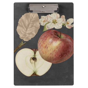 Pranchetas Midnight Harvest II