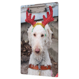 Pranchetas Natal Ollie