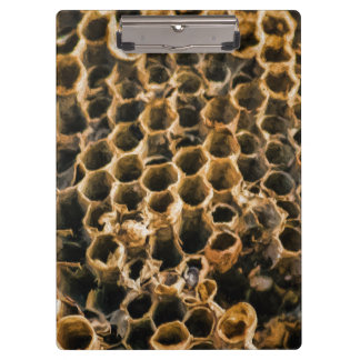 Pranchetas Ninho vazio