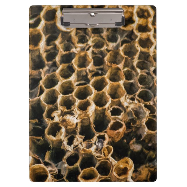 Pranchetas Ninho vazio (Frente)