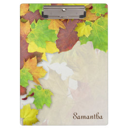 Pranchetas O Autumn Deixa Cair Colunas Adicionar Seu Nome