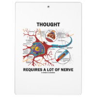 O Pensamento Requer Muito Neurônio Nervoso Sinapse