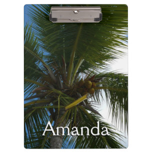 Pranchetas Olhando para a natureza tropical da árvore de pal
