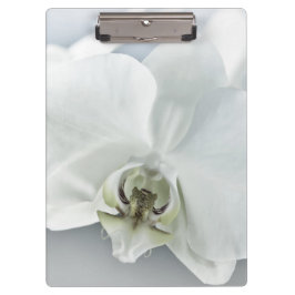 Pranchetas Orquídea de Phaleonopsis Branca