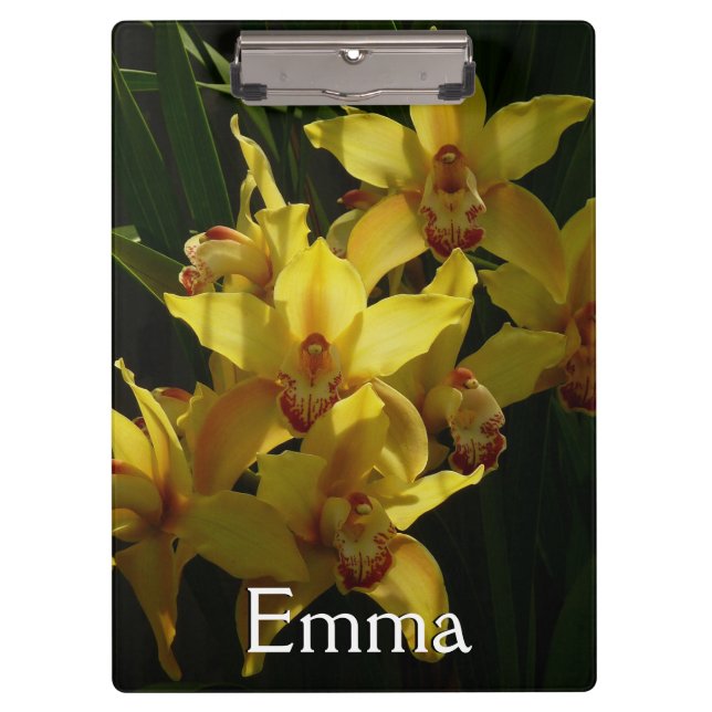 Pranchetas Orquídeas Amarelas Sunlitivas Floral (Frente)