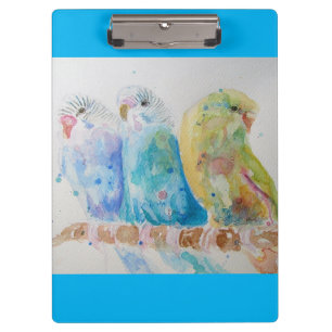 Pranchetas Ortografia Watercolor do Orçamento Pássaros Pintad