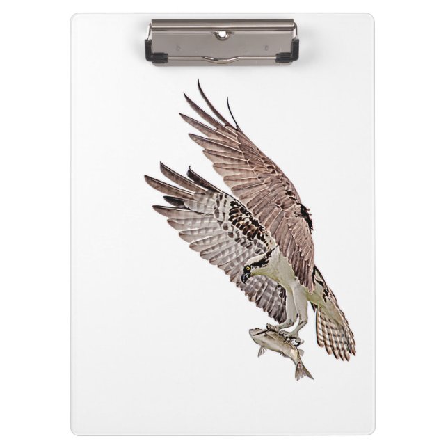 Pranchetas Osprey com peixe (Frente)