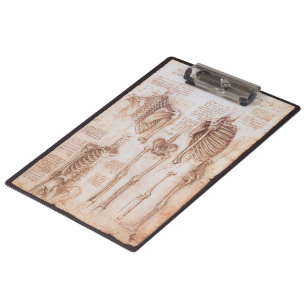 Pranchetas Ossos do Esqueleto da Anatomia Humana de Leonardo 