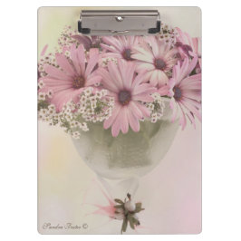 Pranchetas Osteosperno Rosa