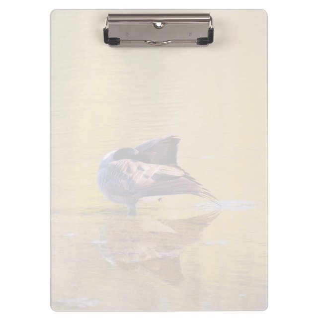 Pranchetas Ouro (Frente)