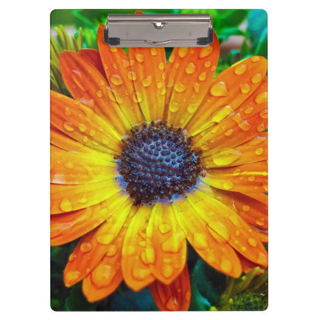 Pranchetas Ouro grande Flower Close (Fechar) (Frente)