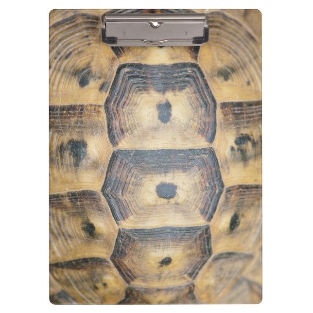 Pranchetas Padrão Tortoise Shell (Frente)