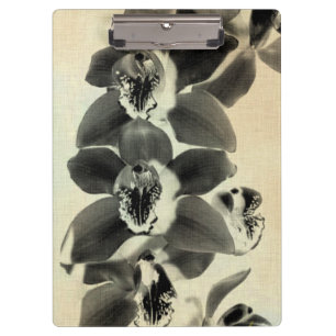 Pranchetas Painéis Blush Orchid IV