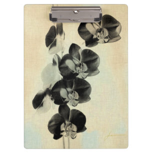 Pranchetas Painéis de Blush Orchid III