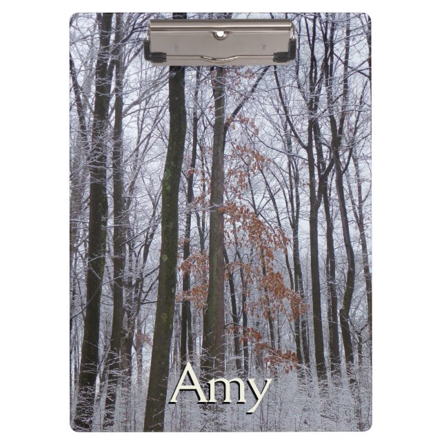Pranchetas Paisagem de inverno na Floresta de Neve Dusted Fot (Frente)