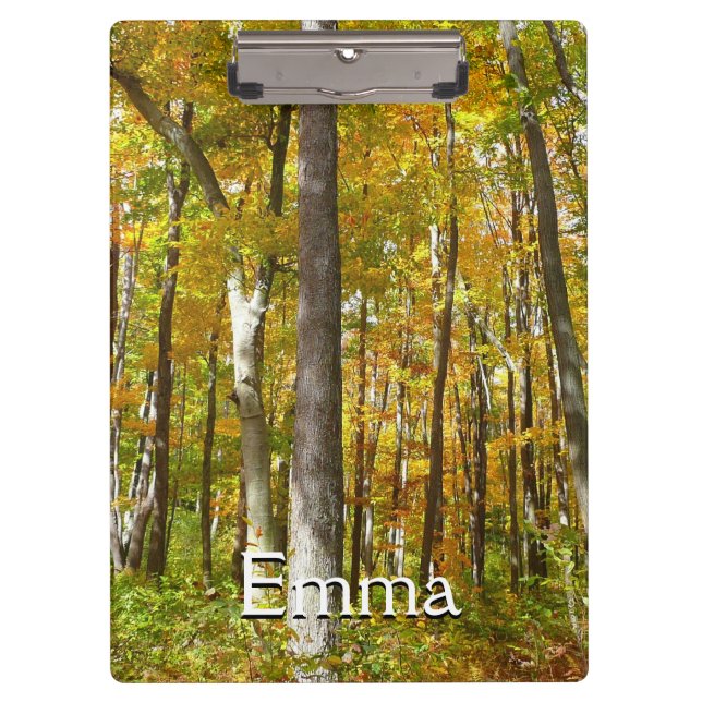 Pranchetas Paisagem de outono de Folhas Amarelas na Floresta (Frente)