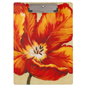 Pranchetas Papagaio Tulip I