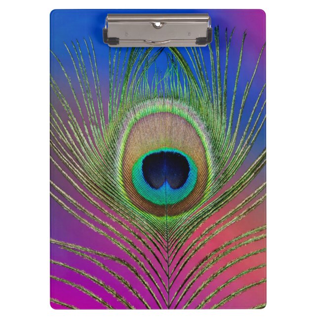 Pranchetas Pena de vela de pavão (Frente)