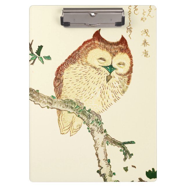 Pranchetas Pequena coruja japonesa (Frente)