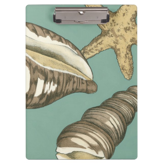 Pranchetas Pequena Shell Trio no Teal (Frente)