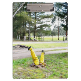 Pranchetas Perdido no Jardim de novo